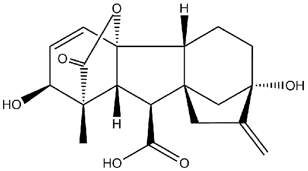 赤霉素GIBBERELLIC ACID，居然有這么神奇？